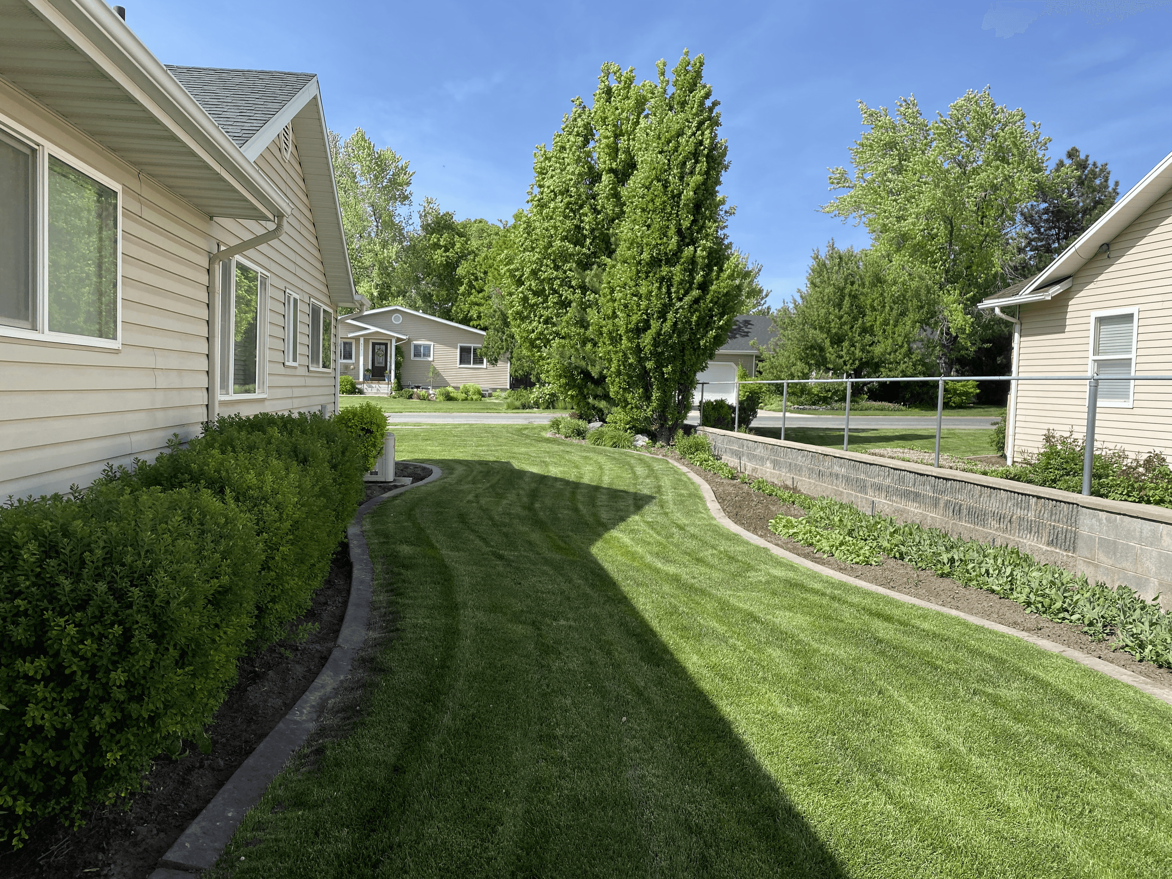 Landscape Curbing