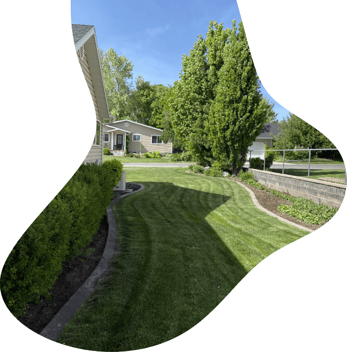American Curb Landscaping