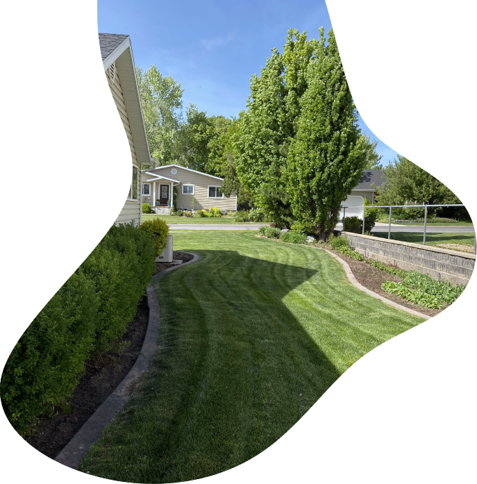 American Curb Landscaping